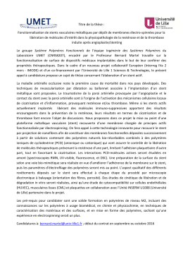 Titre de la thèse