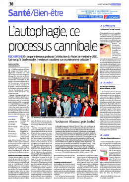 article-sud-ouest-17-octobre-2016-1