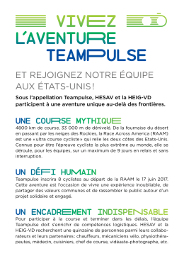 flyer - Teampulse