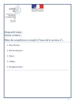 Dispositif relais : Année scolaire : Bilan de compétences rempli à l