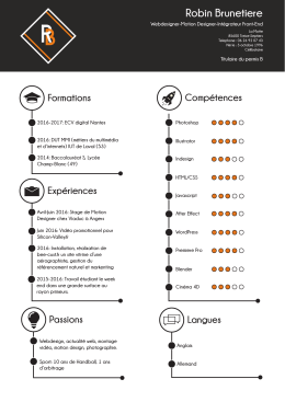 Mon CV - Portfolio Robin Bruneti&egrave;re