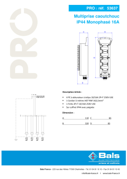 Multiprise caoutchouc IP44 Monophasé 16A