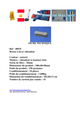 FICHE TECHNIQUE Réf : 48929 Brosse à laver chiendent Couleur