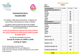 Toussaint 2016 Commande de Chrysanth&egrave;mes et de fleurs avant le