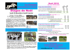 Stages de No&euml;l