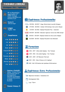 CV - D&Atilde;&copy;veloppeur_Web_Wapplication