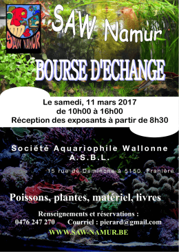 Affiche Bourse SAW 2017