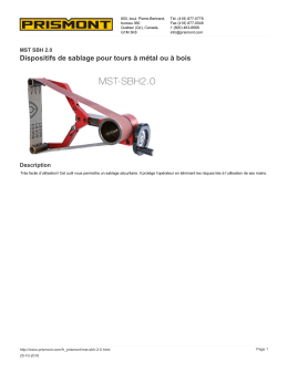 T&eacute;l&eacute;charger la version PDF