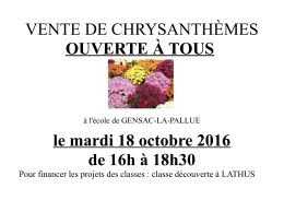 VENTE DE CHRYSANTHÈMES OUVERTE À