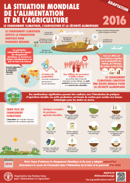Infographie: La situation mondiale de l`alimentation et de l