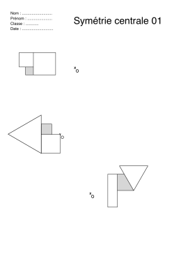 Sym&eacute;trie centrale 01