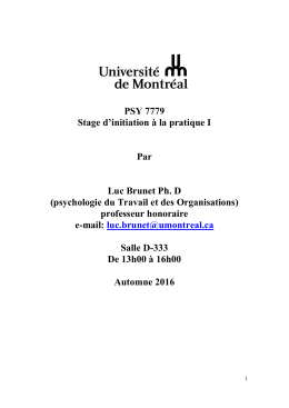 PSY 7779 Stage d`initiation à la pratique I Par Luc Brunet Ph. D