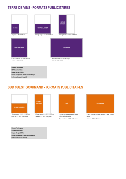 Nos formats Print - Sud Ouest Publicite