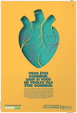 T&eacute;l&eacute;charger directement le document : (PDF