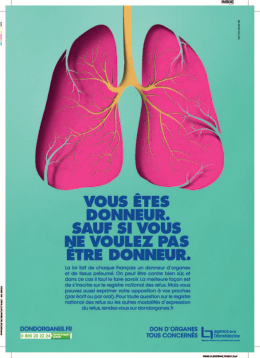 Télécharger directement le document : (PDF