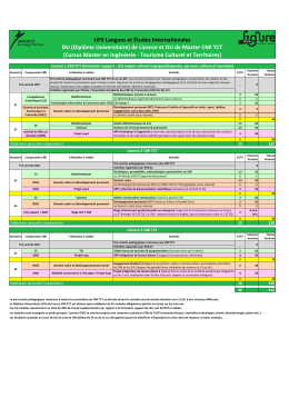 DU CMI Licence promo 2016-2020-2 - Universit&eacute; Cergy