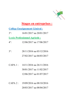 Stages en entreprises :