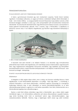 horg&aacute;szmeteorol&oacute;gia - Kecske
