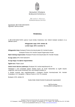 13203 - Pal&aacute;sti L&aacute;szl&oacute;
