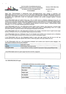 Hubai Imre Csaba Kiss J&aacute;nos Patk&oacute;s Lajos t Kis Jozsefne lvanics