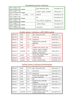 2017. január 17-20. egyéni megbeszélés alapján gitár, harmonika