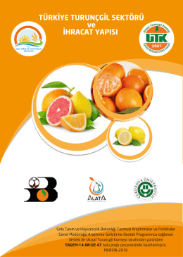 tagem projesi - Ulusal Turun&ccedil;gil Konseyi