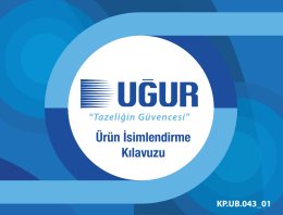 &Uuml;r&uuml;n İsimlendirme Kılavuzu