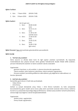 Gemisem_Fluentkursu