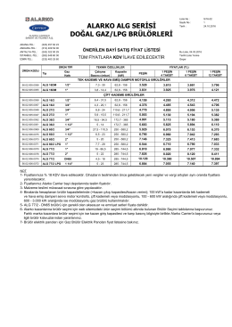 B.4-1 ALG Dogalgaz Bruloru