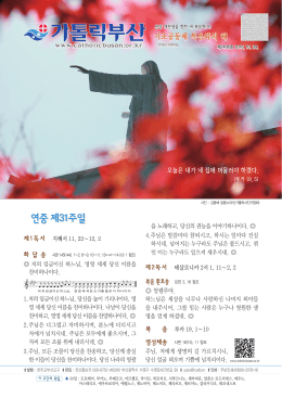 연중 제31주일 - 천주교 부산교구