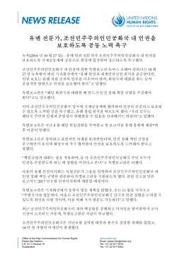 유엔 전문가 , 조선민주주의인민공화국 내 인권을 보호