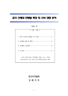 중국 신세대 연령별 특징 및 소비 성향 분석