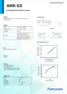 국문 AMK-GX
