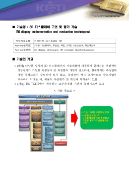 3D 디스플레이 구현 및 평가 기술