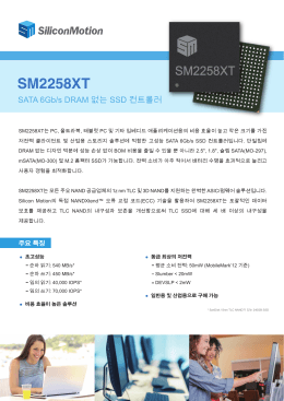 SM2258XT