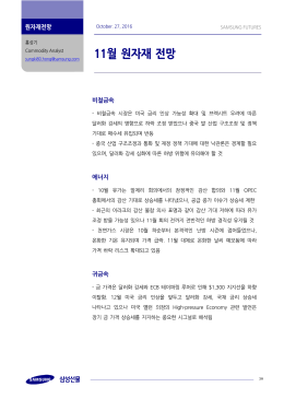 11월 원자재 전망