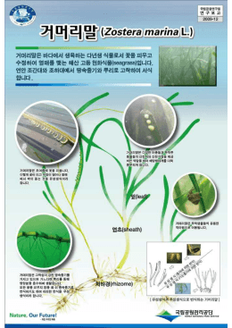 전체 페이지 팩스 인쇄