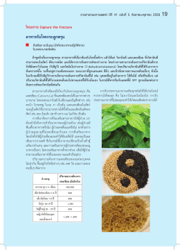 อาหารกับโรคกระดูกพรุน