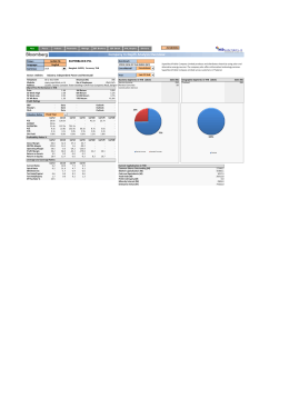 Company In Depth Analysis Overview