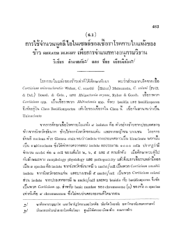 Page 1 4888 (6.1) 2* ๐ ลi \ก ด 6 ** ร ต 2” การใช้จำนวนนูคลีไอในเซลล์