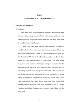 13 BAB II GAMBARAN UMUM LOKASI PENELITIAN A. Geografis