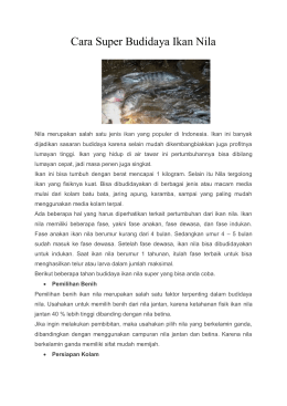 Cara Super Budidaya Ikan Nila