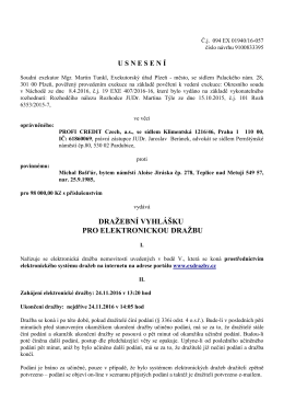 DRAŽEBN&Iacute; VYHL&Aacute;&Scaron;KU PRO ELEKTRONICKOU DRAŽBU