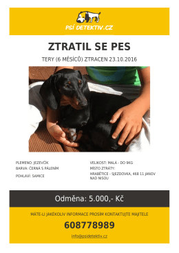 zde ke stažen&iacute;