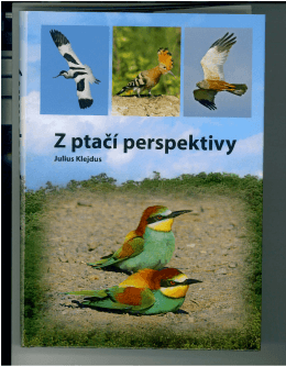 Julius Klejdus - Z PTAČÍ PERSPEKTIVY