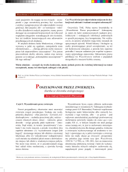 poszukiwanie przez zwierzęta