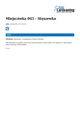 Miejscówka 041 - Stęszewko