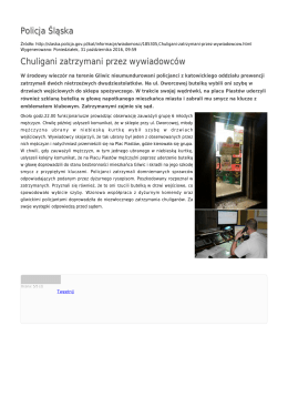 Generuj PDF - Policja Śląska