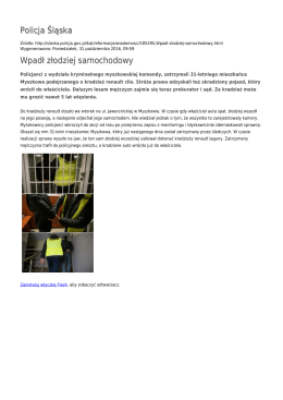 Generuj PDF - Policja Śląska