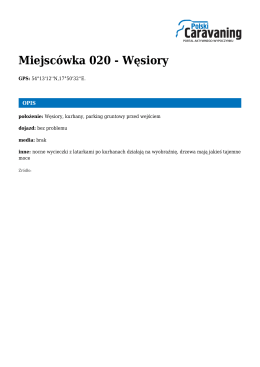 Miejscówka 020 - Węsiory